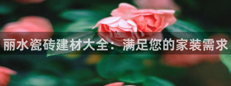 杏鑫娱乐平台测速怎么样