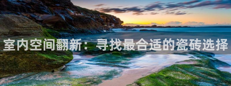 杏鑫3主管