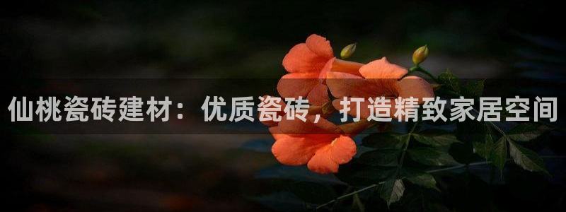 杏鑫娱乐多少年了