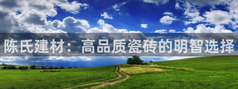 杏鑫主管