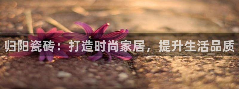 杏鑫娱乐怎么下