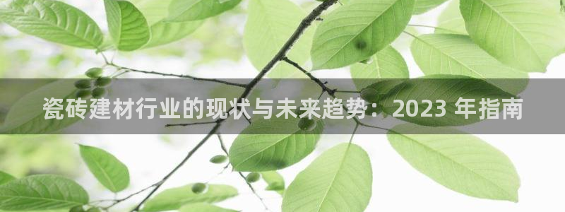 杏鑫娱乐平台测速怎么样