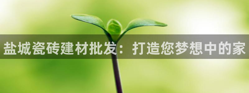 杏鑫代理注册登录