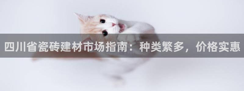 杏鑫平台登录注册