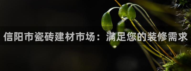 杏鑫平台官方网站