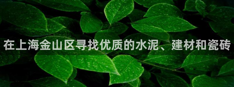 杏鑫平台注册网址是多少