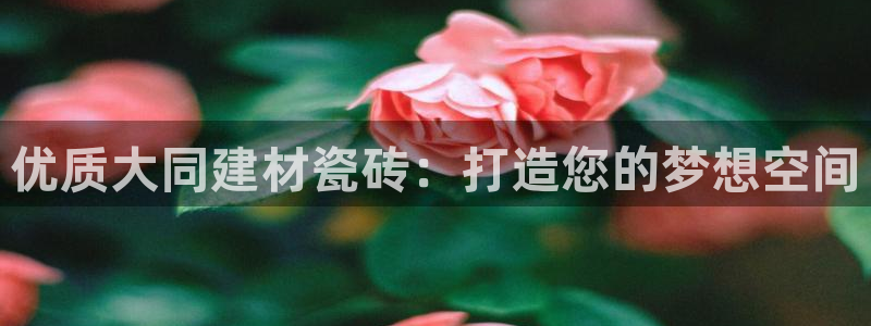 杏鑫平台代理怎么样赚钱