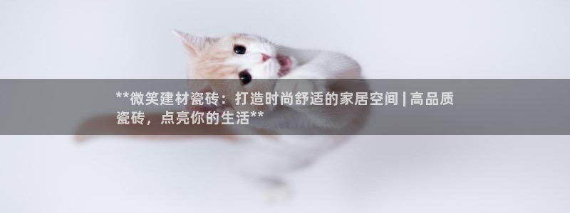 杏鑫平台代理注册多少钱啊