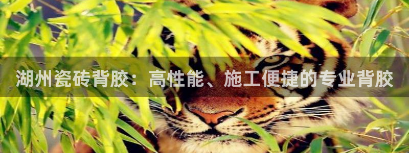 杏鑫平台怎么样