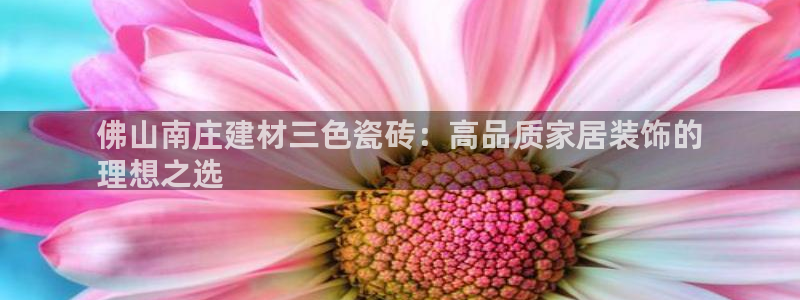 杏鑫平台代理注册多少钱啊