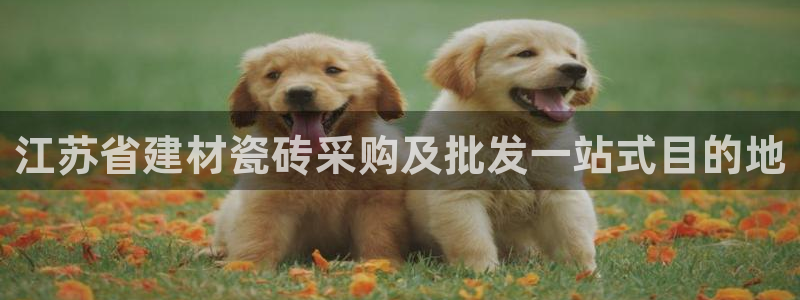 杏鑫娱乐官方网站客户端下载