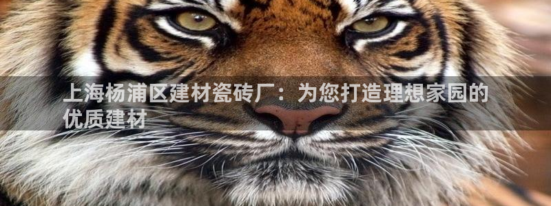 杏鑫注册登录