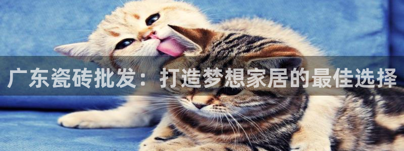 杏鑫注册登录地址