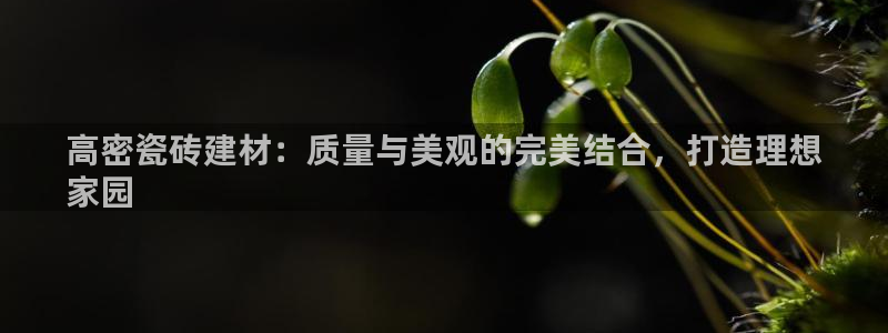杏鑫平台代理怎么样赚钱
