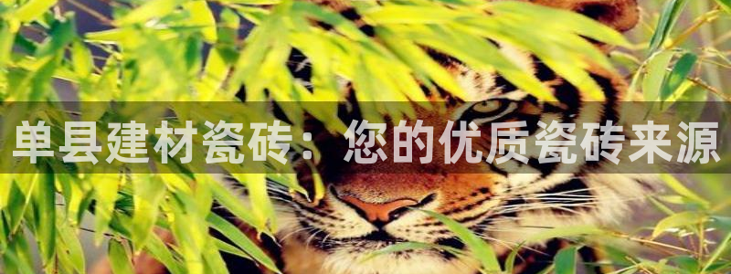 杏鑫注册平台官方网站下载