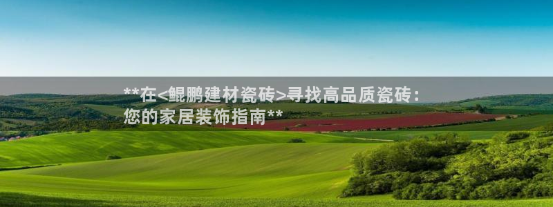 杏鑫平台代理注册登录不了怎么办呀视频