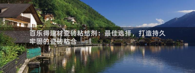 杏鑫代理注册资金多少