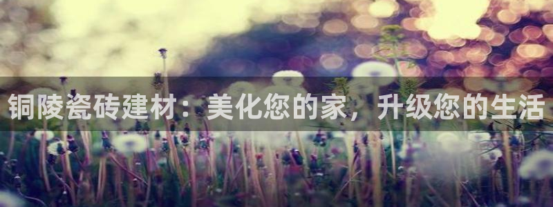 杏鑫平台官方网站