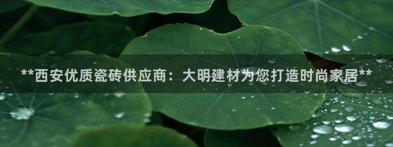 杏鑫注册登录代理
