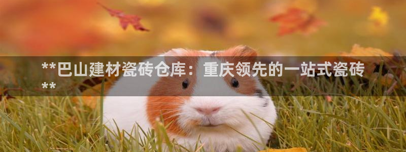杏鑫娱乐平台测速