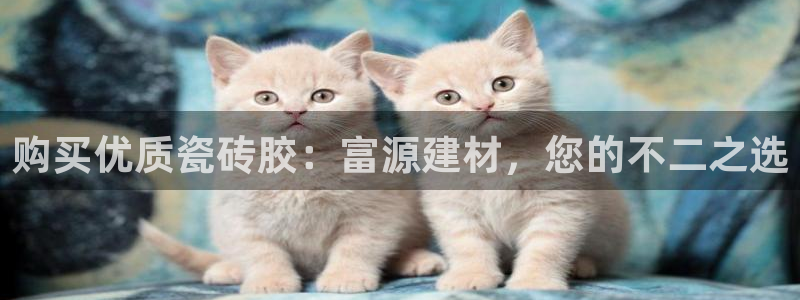 杏鑫平台代理