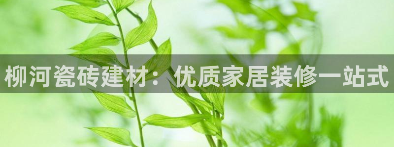 杏鑫平台下载安装