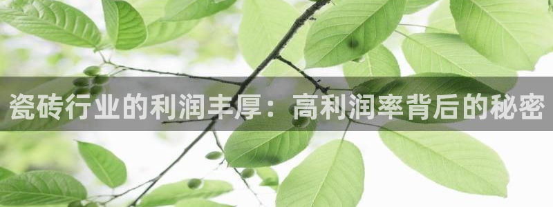 杏鑫有亏损返点吗