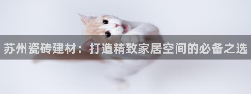 杏鑫平台代理怎么做的