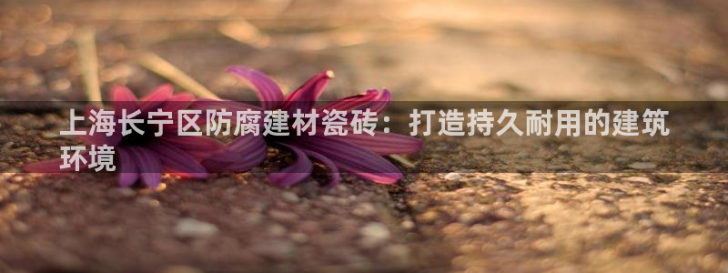 杏鑫官网最新信息新闻报道