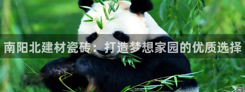 杏鑫注册登录代理公司