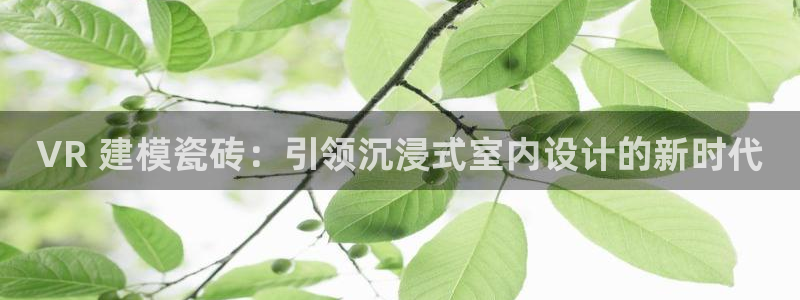 杏鑫官网最新信息新闻