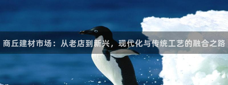 杏鑫主管