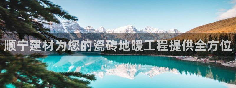 杏鑫平台官方网站