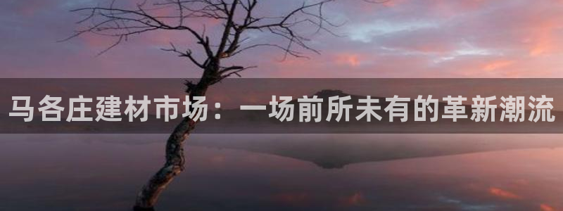 杏鑫平台直属哪个公司