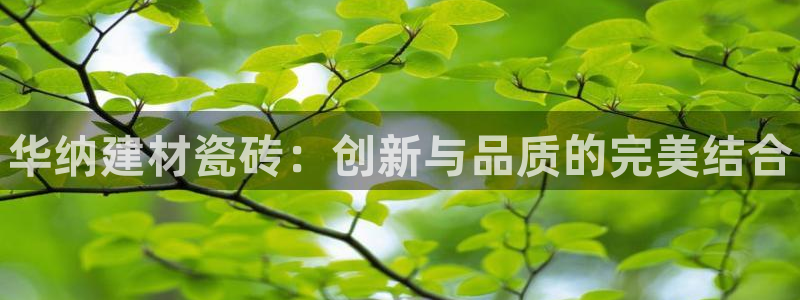 杏鑫平台代理注册多少钱一年