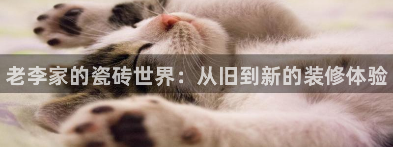 杏鑫娱乐平台测速怎么样
