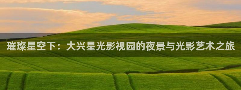 樱桃视频0