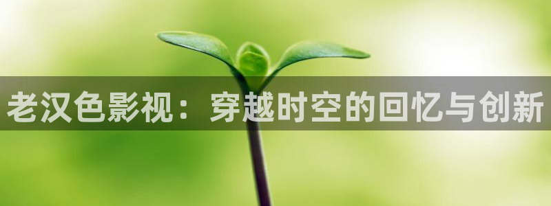 樱桃免费视频大全