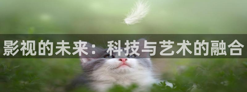 樱桃视频地址