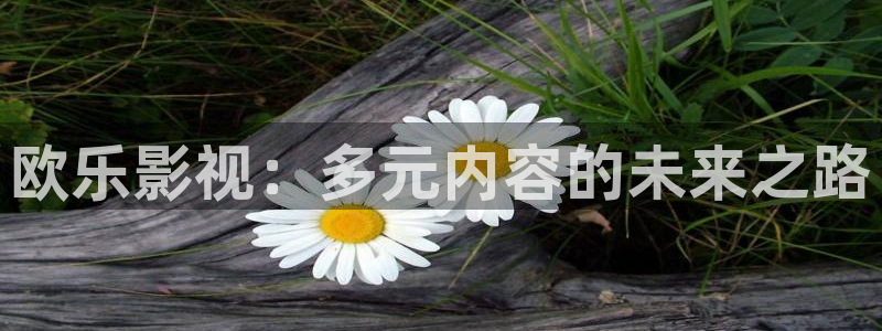 樱桃影视网页版