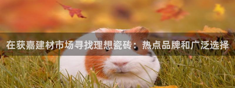 杏鑫平台代理注册要钱吗