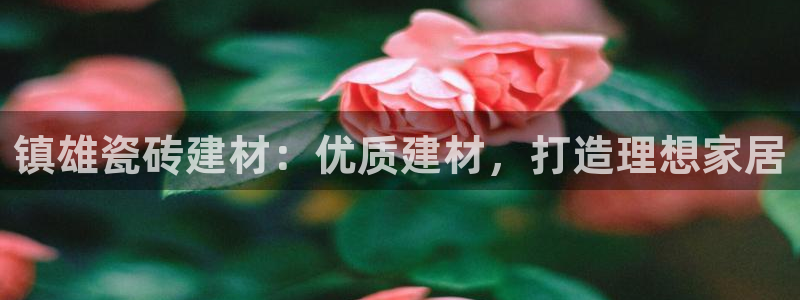 杏鑫代理注册平台