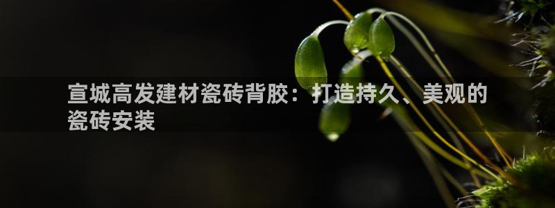 杏鑫平台注册地址