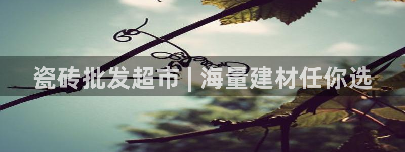 杏鑫平台在线注册怎么注册