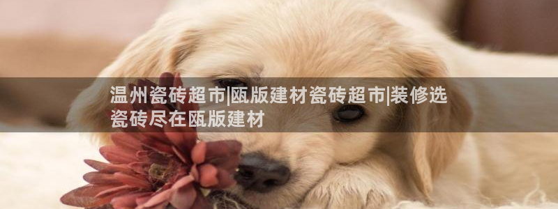 杏鑫平台登录地址在哪