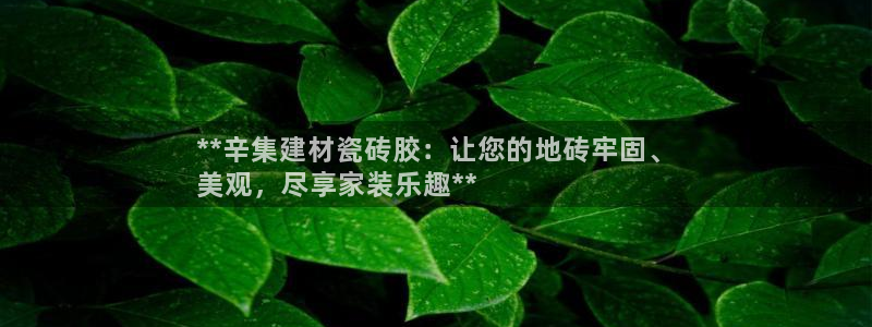 杏鑫注册登录平台是什么