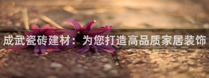 杏鑫娱乐平台登录