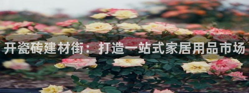 杏鑫官网注册账号密码是什么