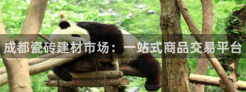 杏鑫平台注册入口在哪里找